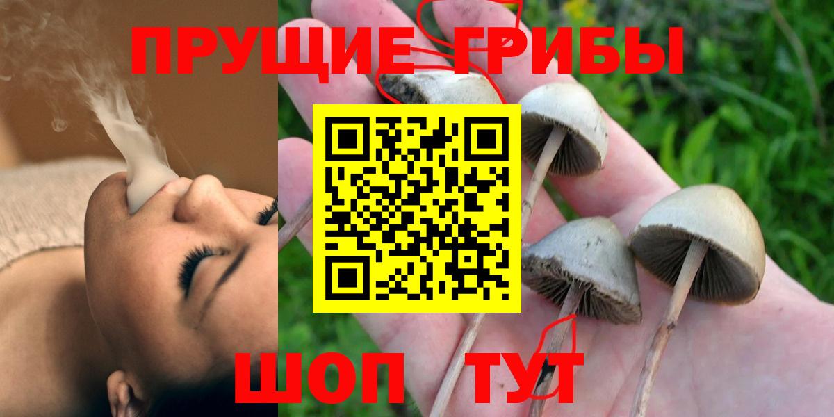 Псилоцибиновые грибы MAGIC MUSHROOMS  Псилоцибиновые грибы ЛСД  закладки  Вход с VPN  Лабытнанги 